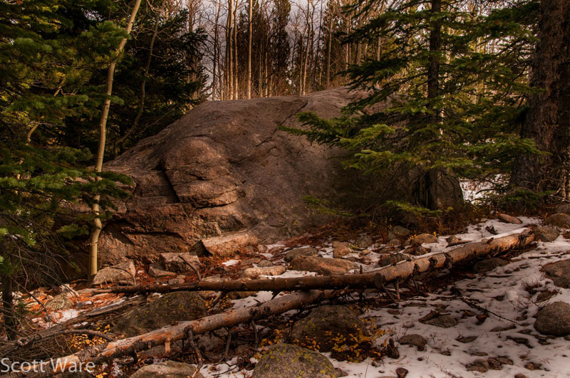 Alberta Falls