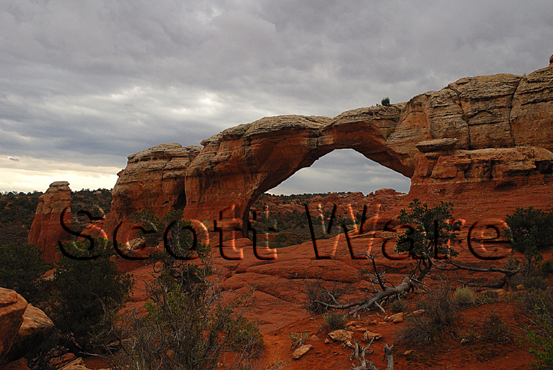 Broken Arch
