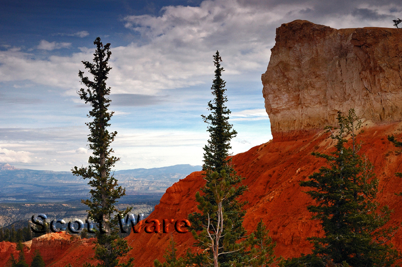 Black Birch Canyon