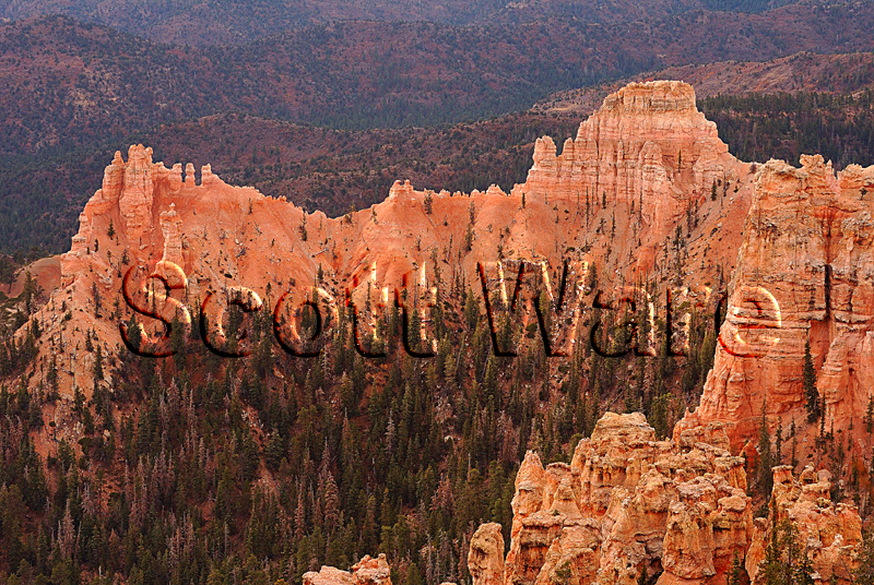 Bryce