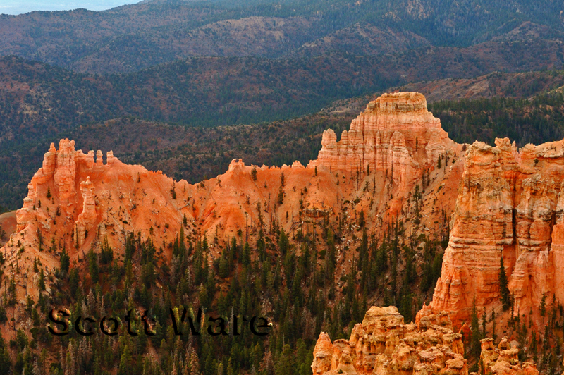 Bryce