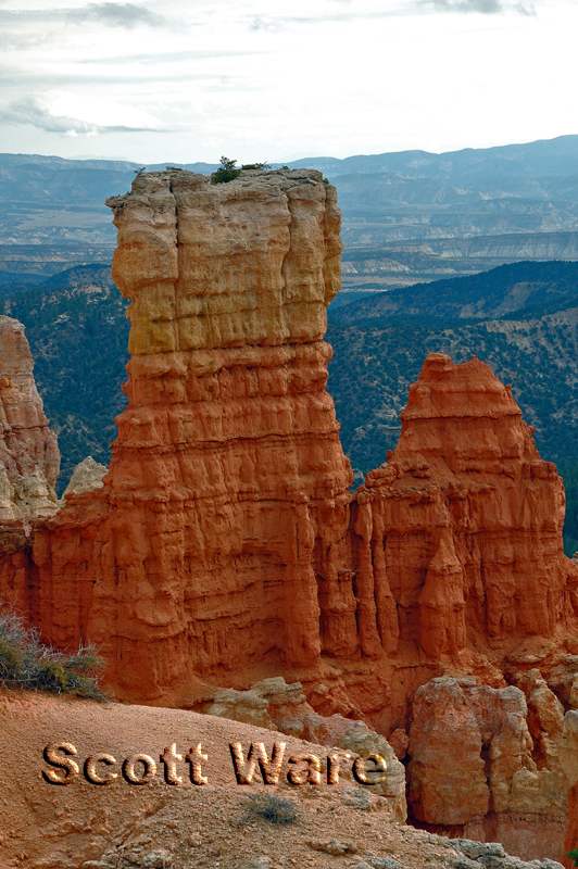 Agua Canyon
