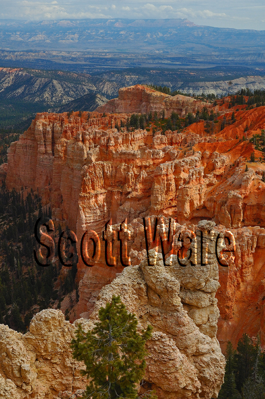 Bryce