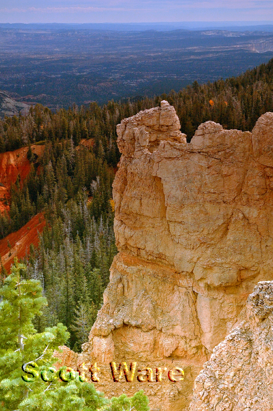 Bryce