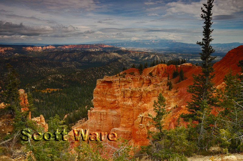 Bryce