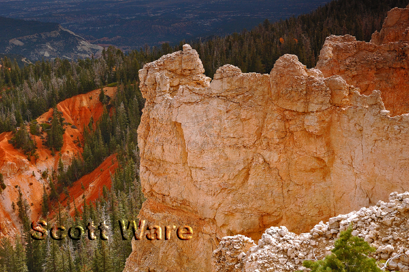Bryce
