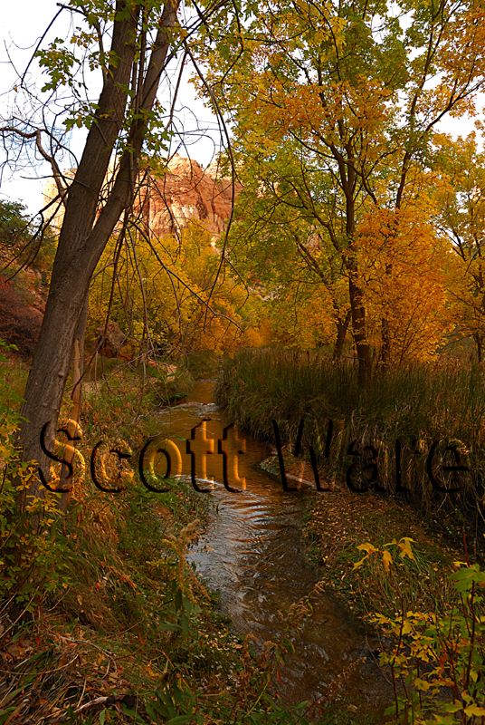 Calf Creek