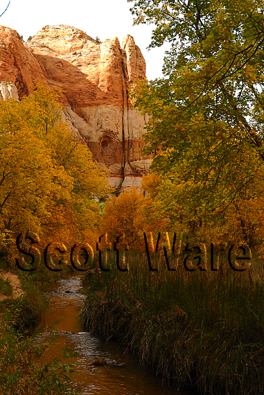 Calf Creek