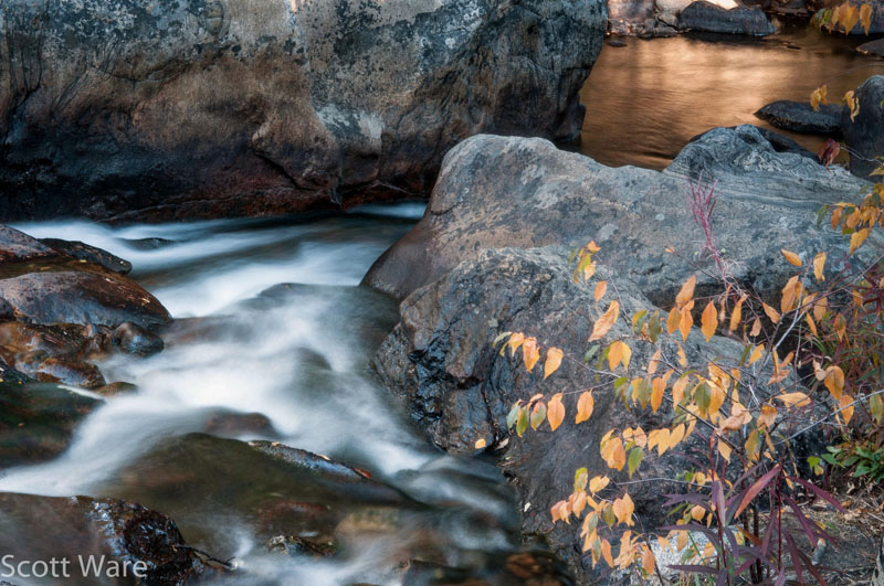 Glacier Creek