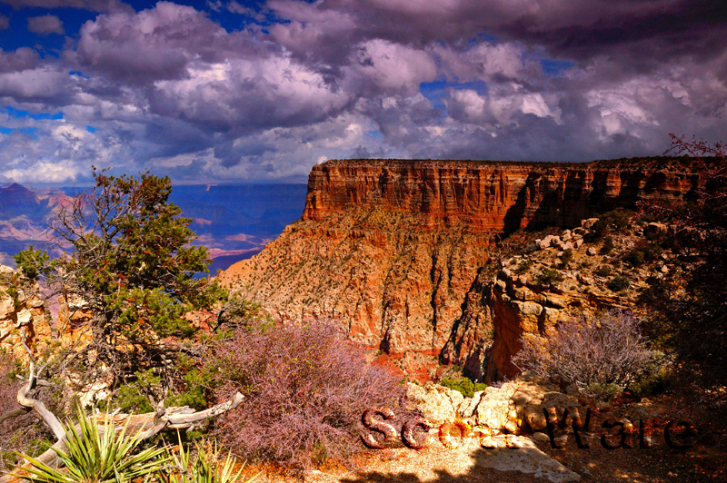 Moran Point