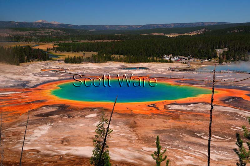 Grand Prismatic Spring