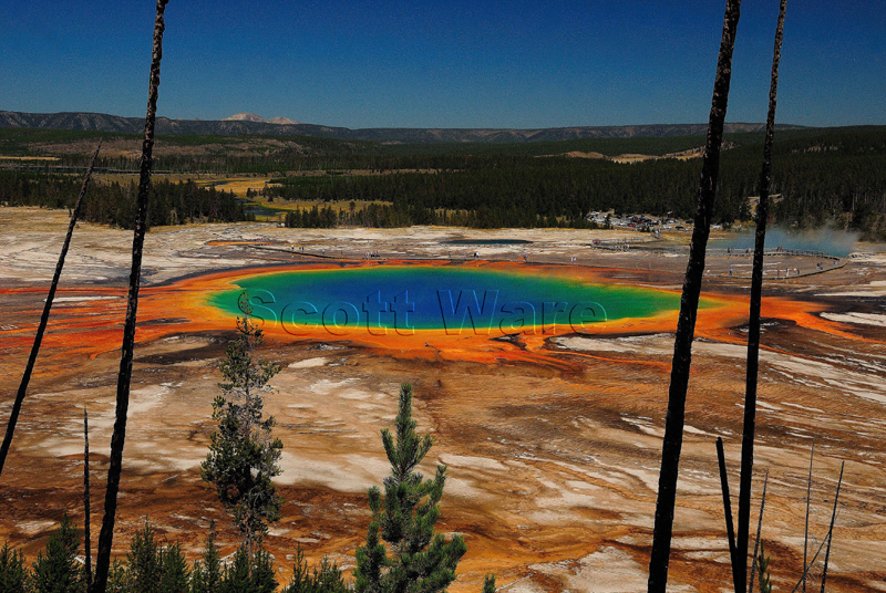 Grand Prismatic Spring