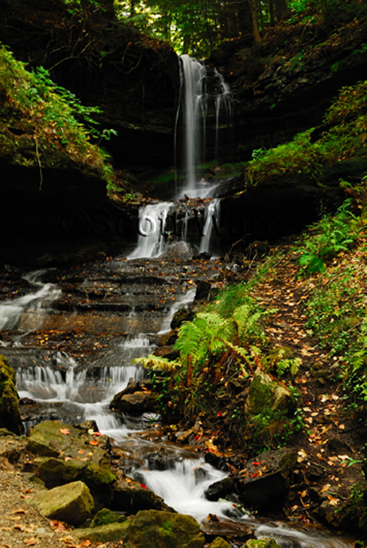 Horseshoe Falls