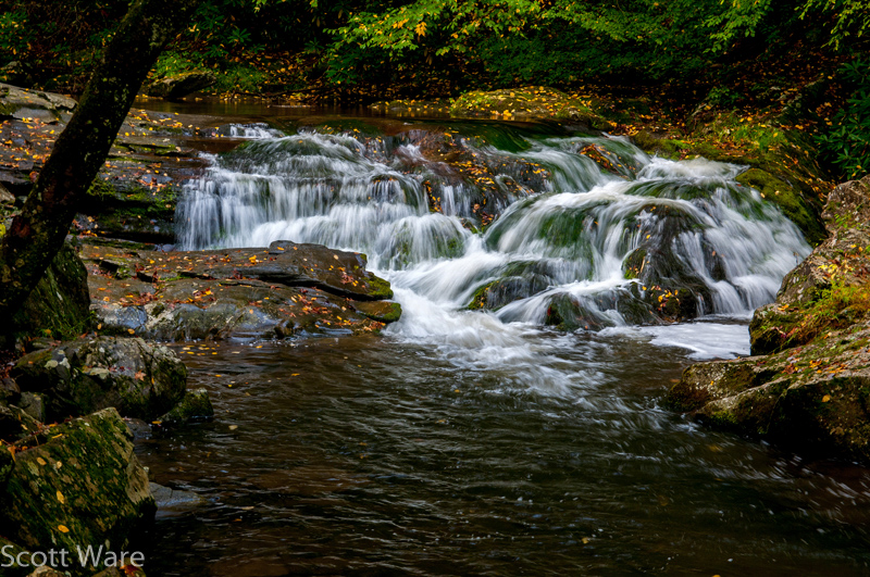 Laurel Creek Cascades