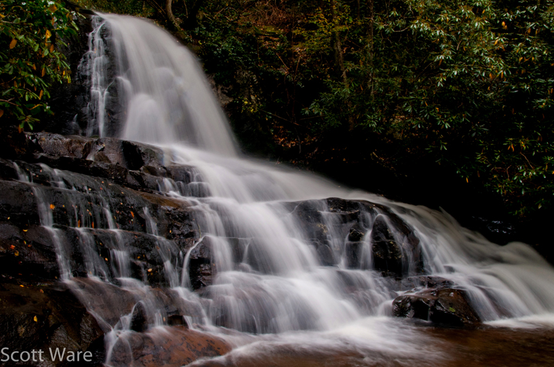 Laurel Falls