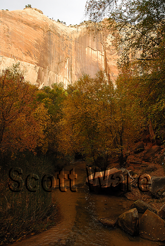 Escalante