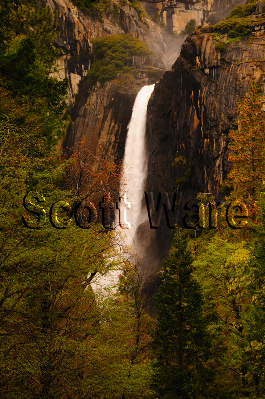 Lower Yosemite Falls