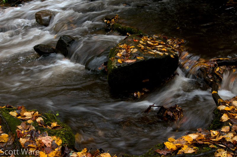 Mingus Mill