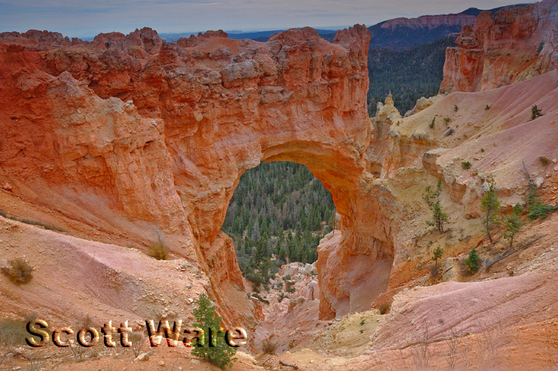 Natural Bridge Arch
