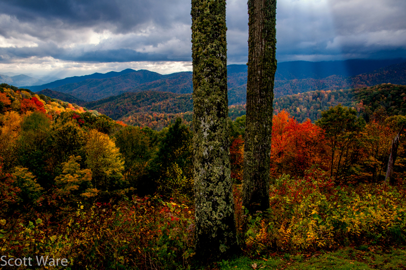 Newfound Gap Road