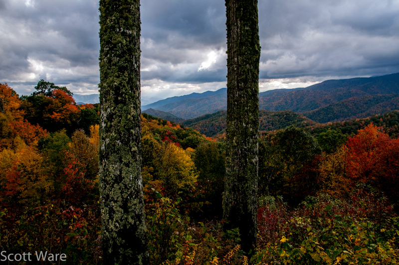 Newfound Gap Road
