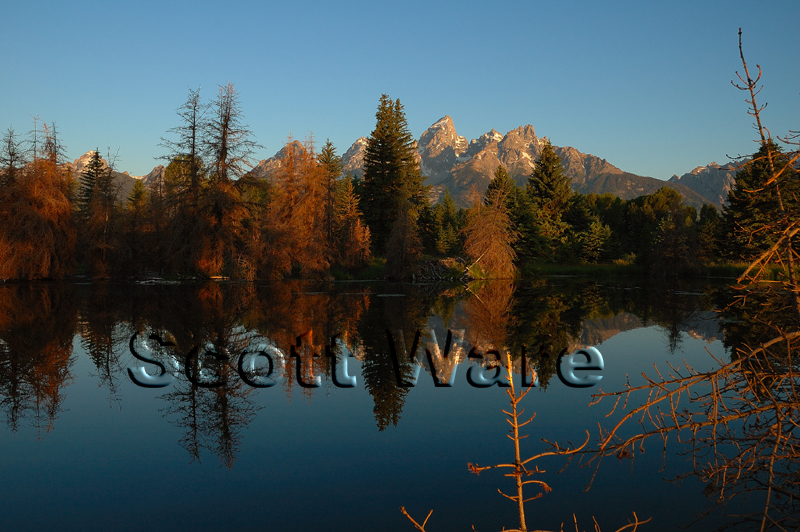Schwabacher's Landing