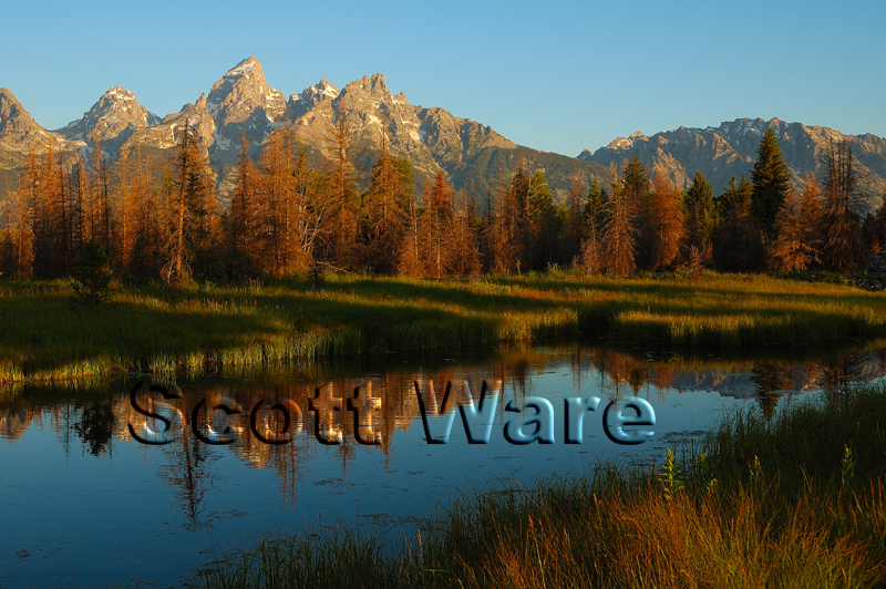 Schwabacher's Landing
