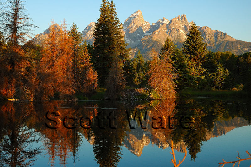 Schwabacher's Landing