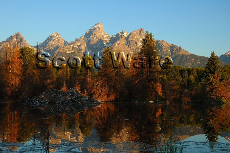 Schwabacher's Landing