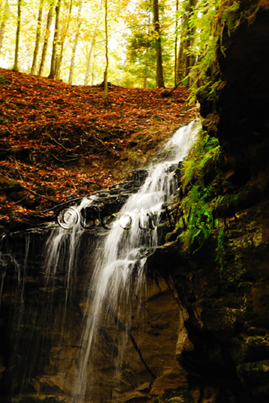 Tannery Falls