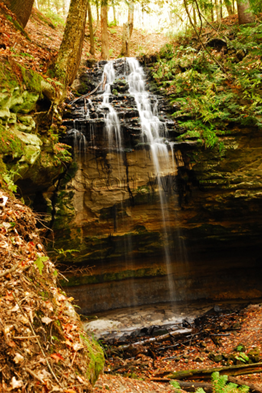 Tannery Falls