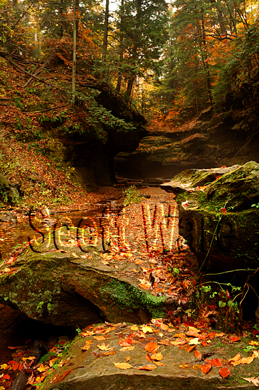 Turkey Run