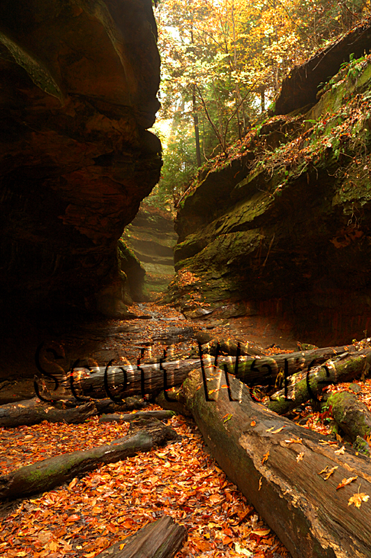 Turkey Run