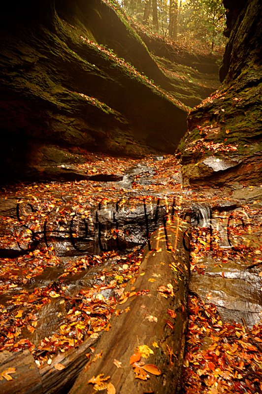 Turkey Run