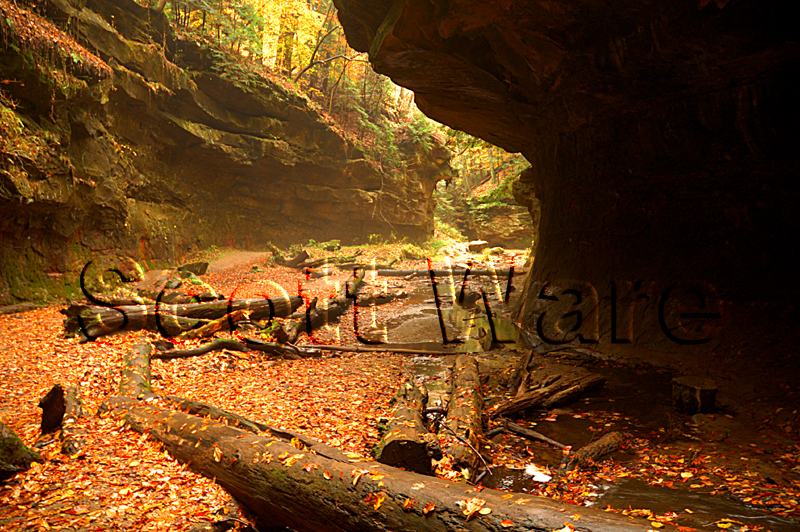 Rocky Hollow