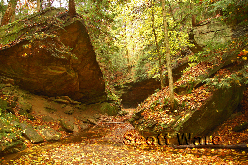 Turkey Run