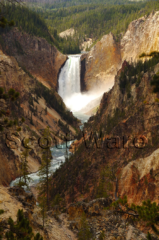 Yellowstone Fall