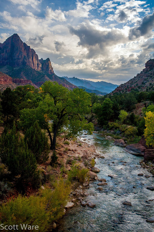 The Watchman