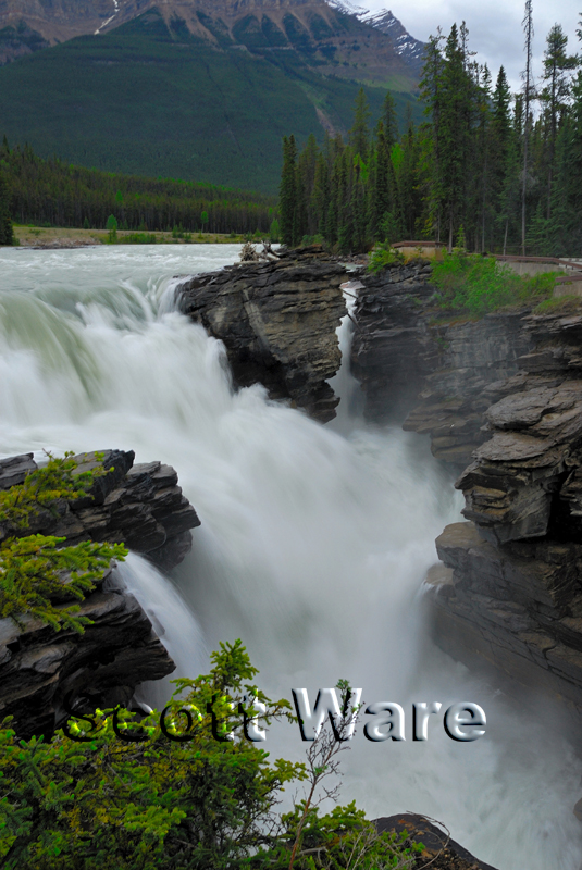 Athabasca Falls, Jasper