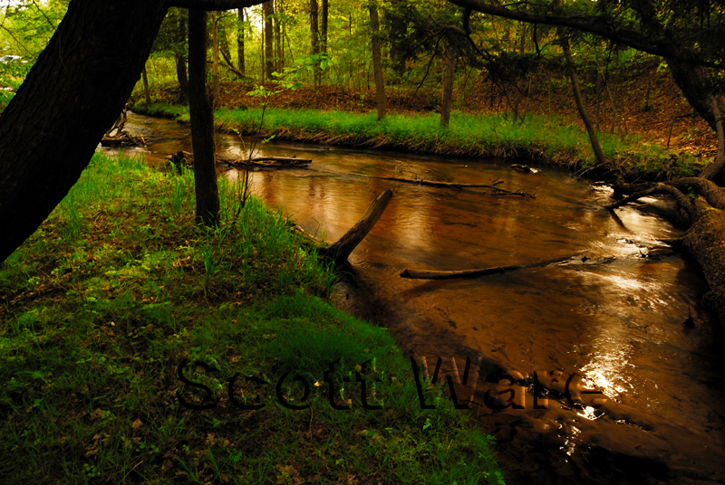 Beaver Creek