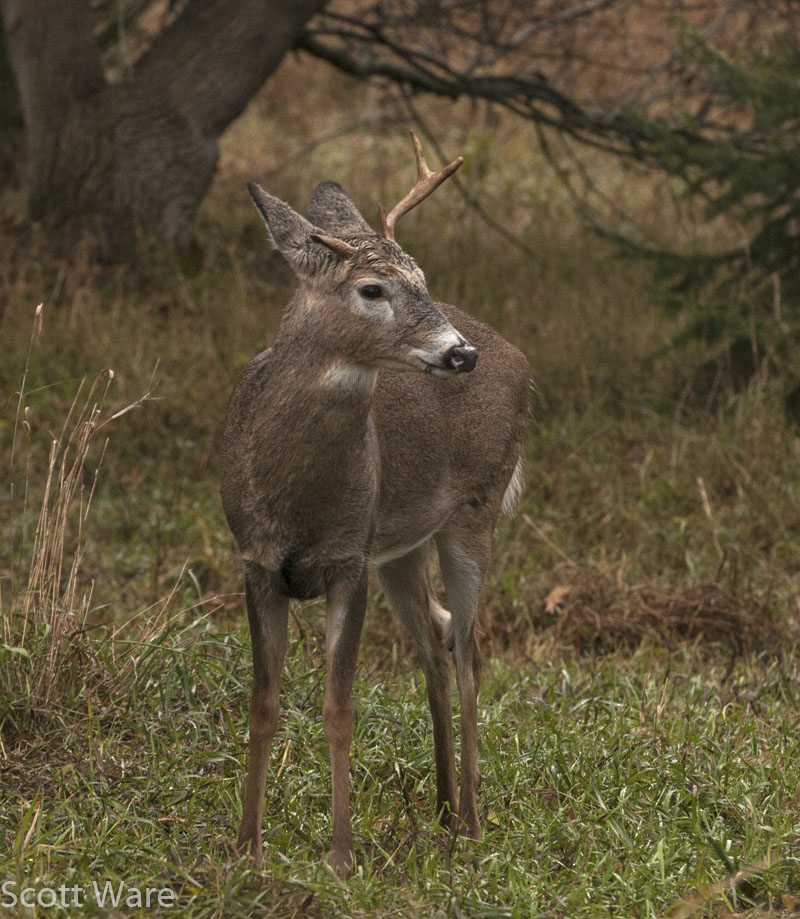 Broken 6 point