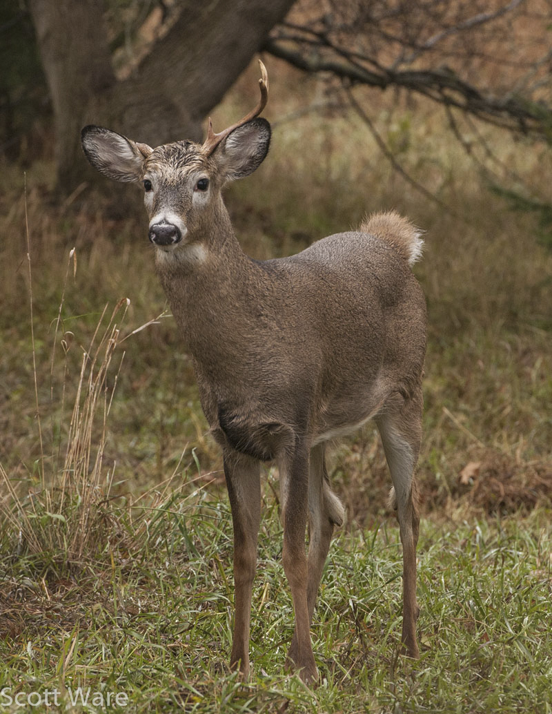 Broken 6 point