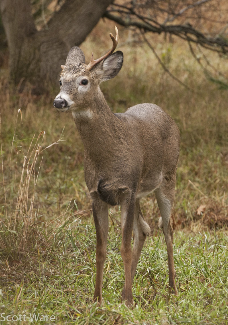 Broken 6 point