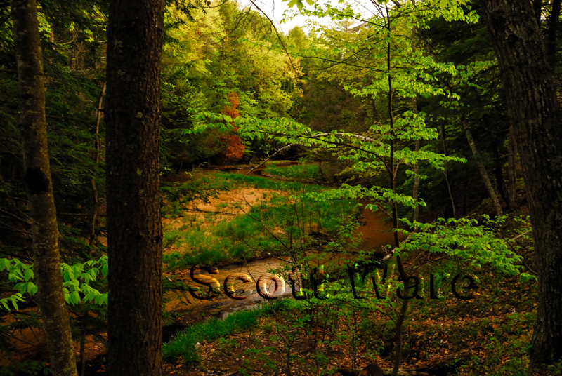 Hinton Creek