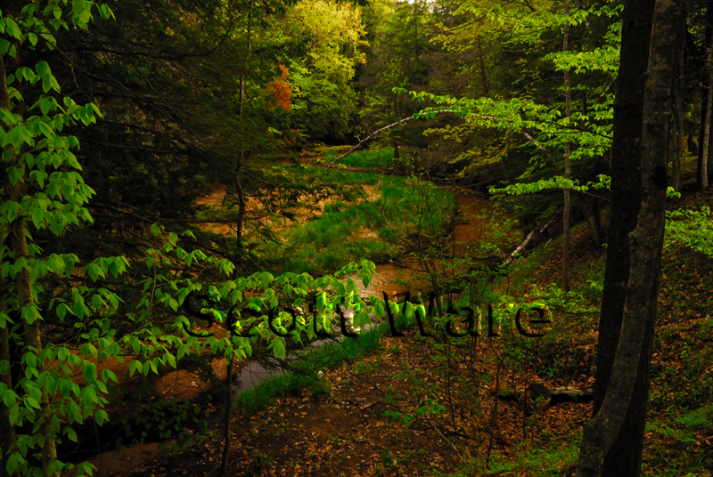 Hinton Creek