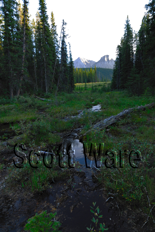 Kananaskis