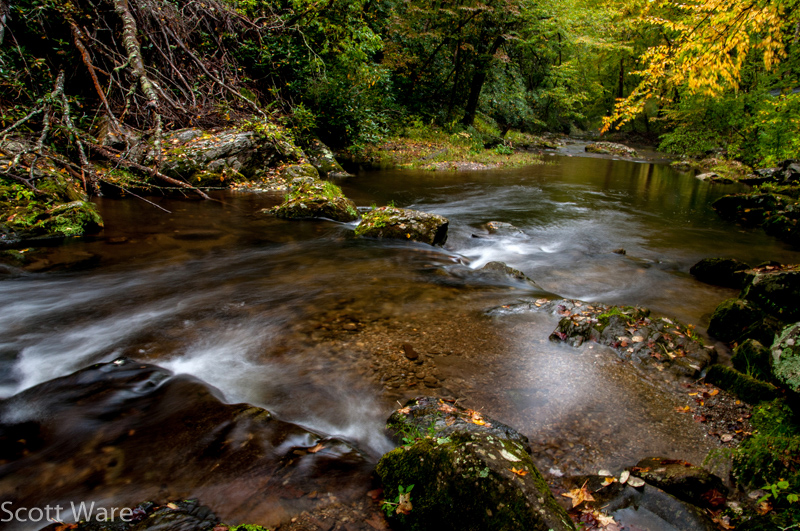Laurel Creek