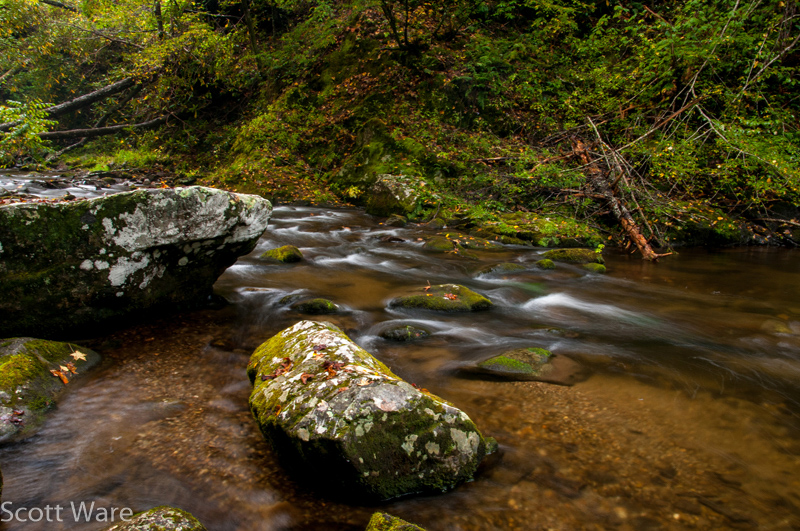 Laurel Creek