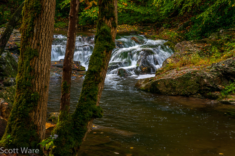 Laurel Creek Cascades