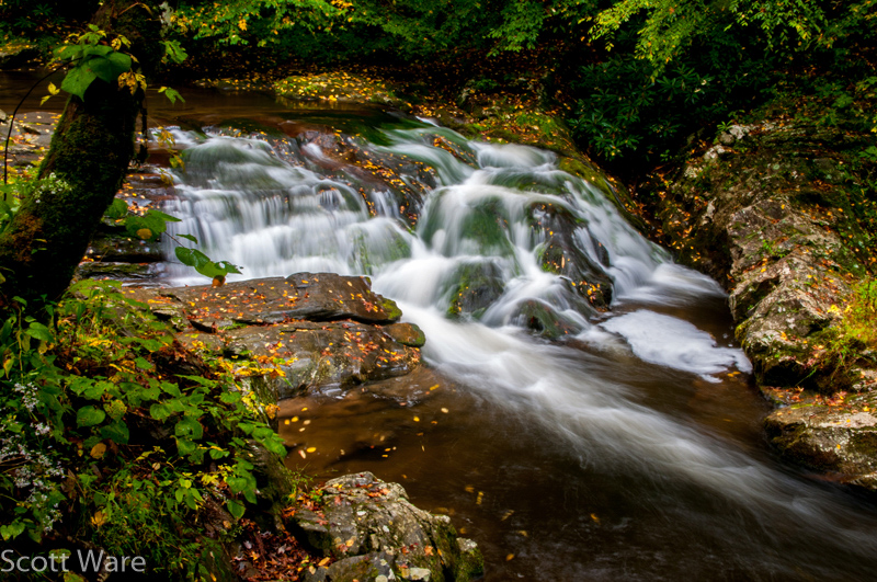 Laurel Creek Cascades
